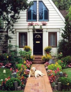 Home Insurance With A Dog Exclusion 