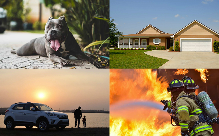 Dog, House, Car, Fire